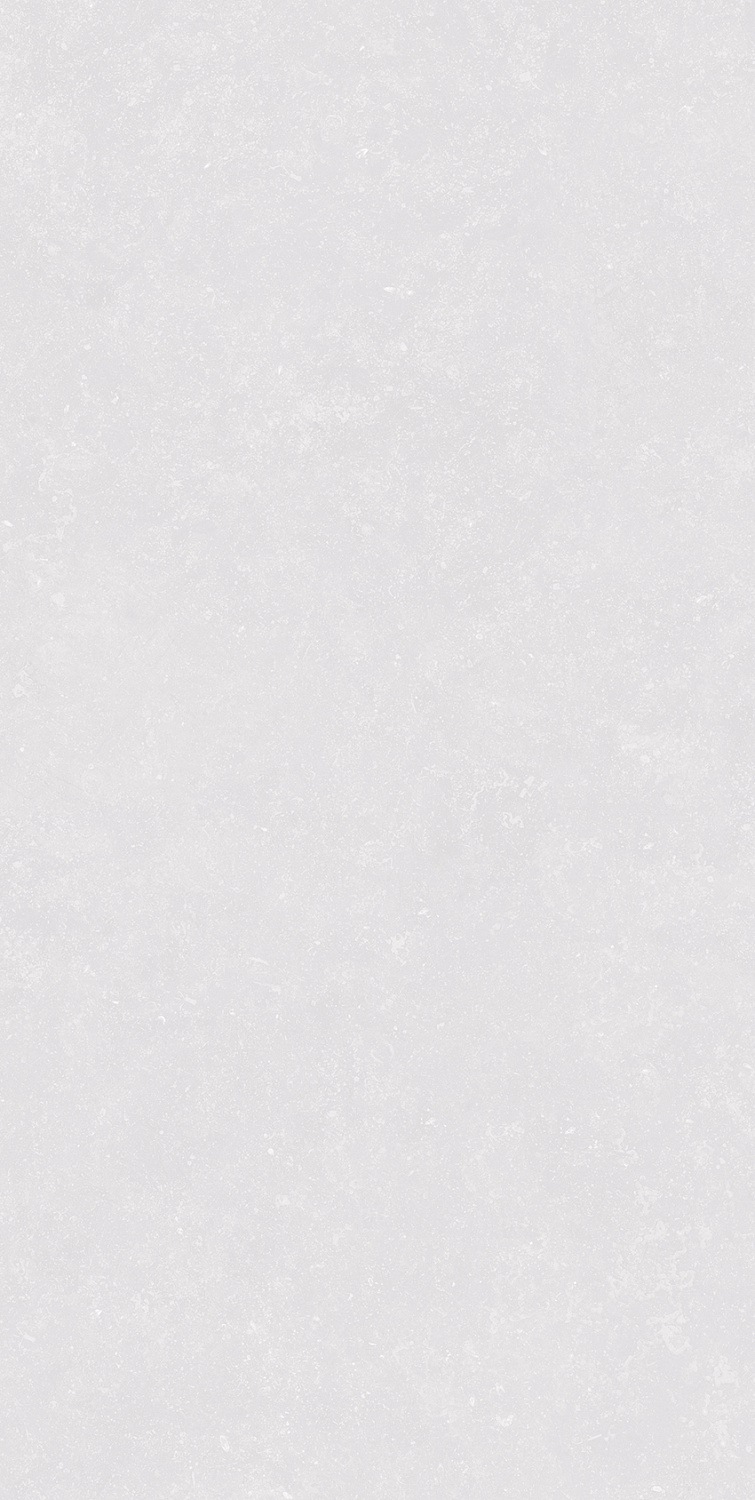  Pierre Bianco Greezo R11 60x120