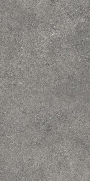   UrbanChic Темно-серый МатR10A 60x120 (1,44) 