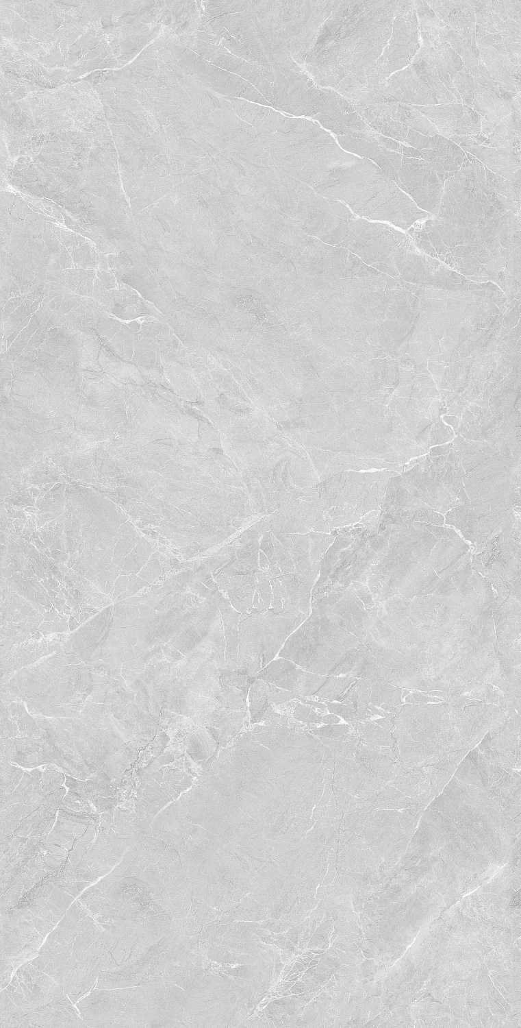  Lithos Light Grey Sugar Polished 60x120 (1,44)