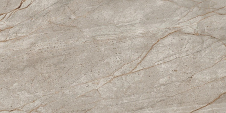 Empire Silver Root Rett 60x120 Lapp/Эмпаир Сильвер Рут 60x120 Лап Рет 