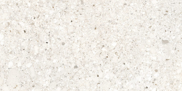 Бьянкоромано Слоновая Кость Матовый R10a 60x120 