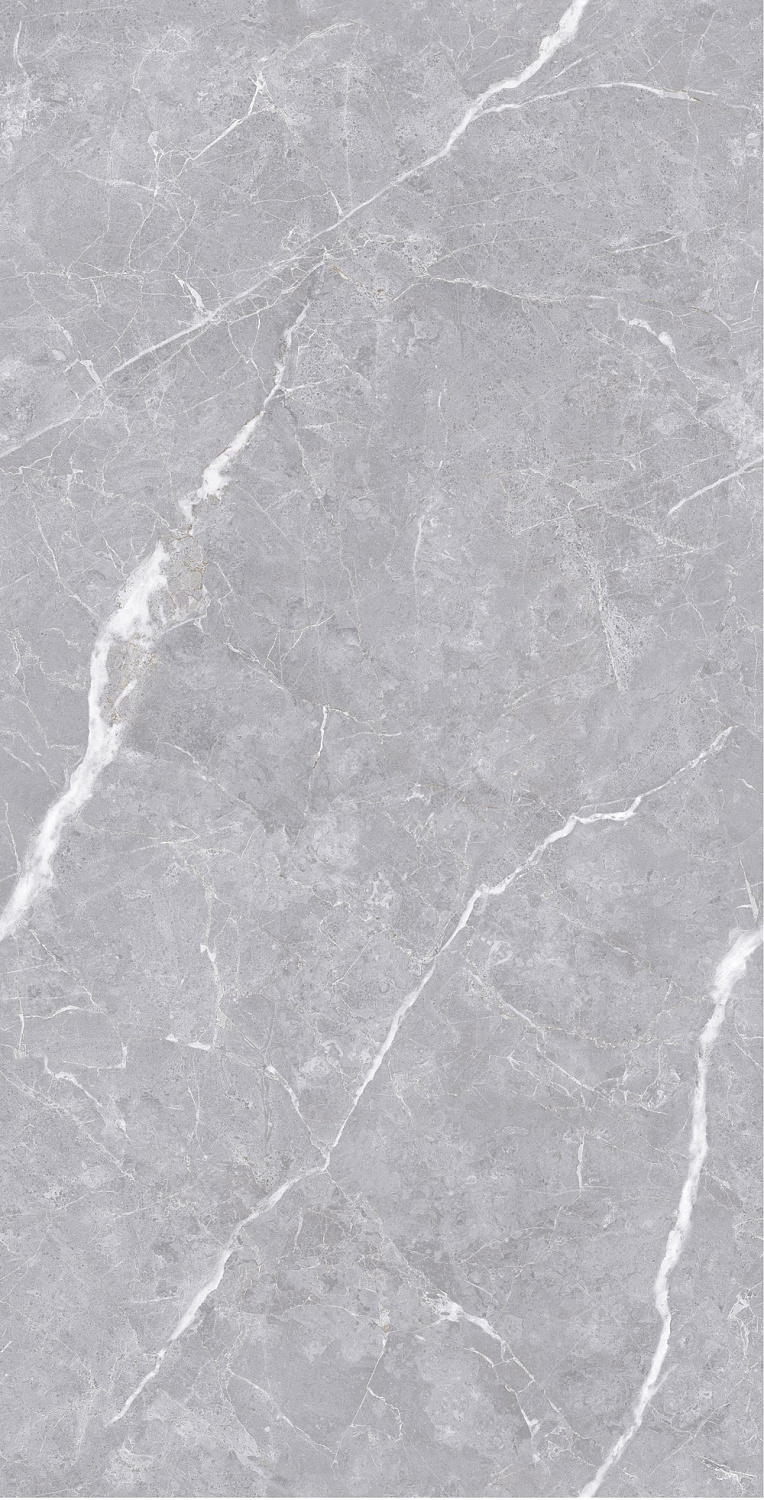  Luanda Polished Silver Carving 60x120 (1,44)