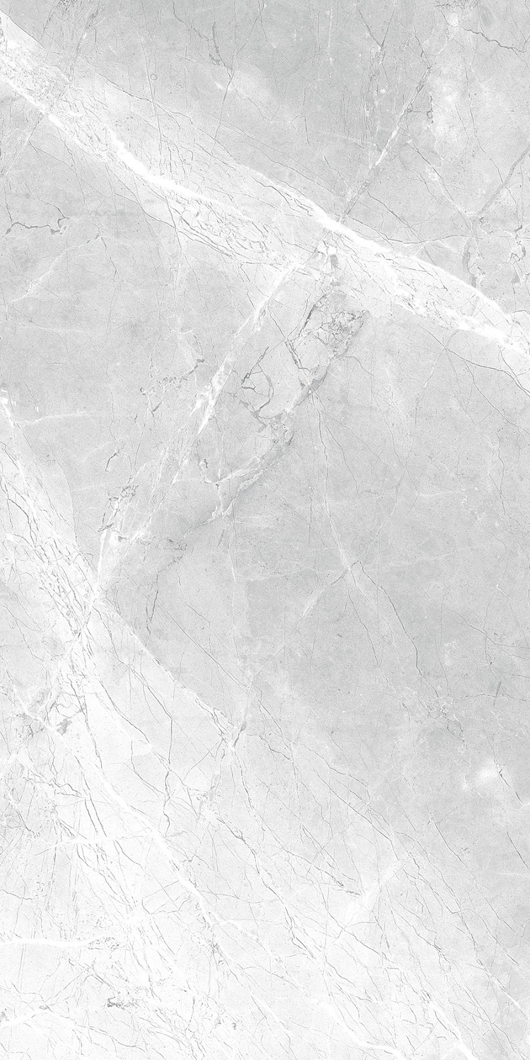  Asti Grey carving 60x120