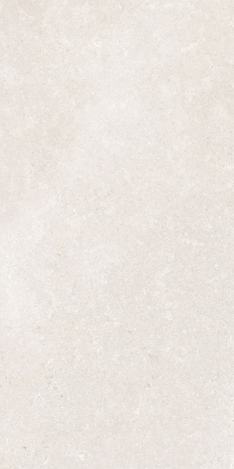   SandStone Белый МатR10A 60x120 (1,44)