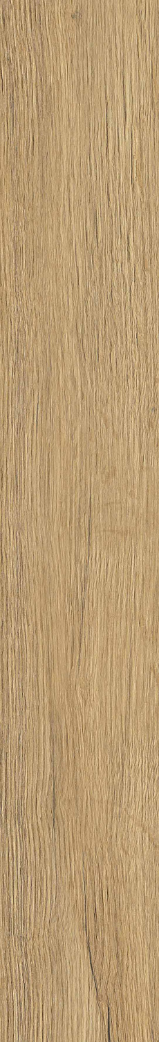   SGR29 Aurevia Gold 9,2x60 (0,6)