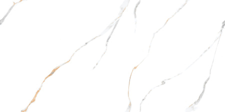  Storneto Statuario 17 Punch 60x120 