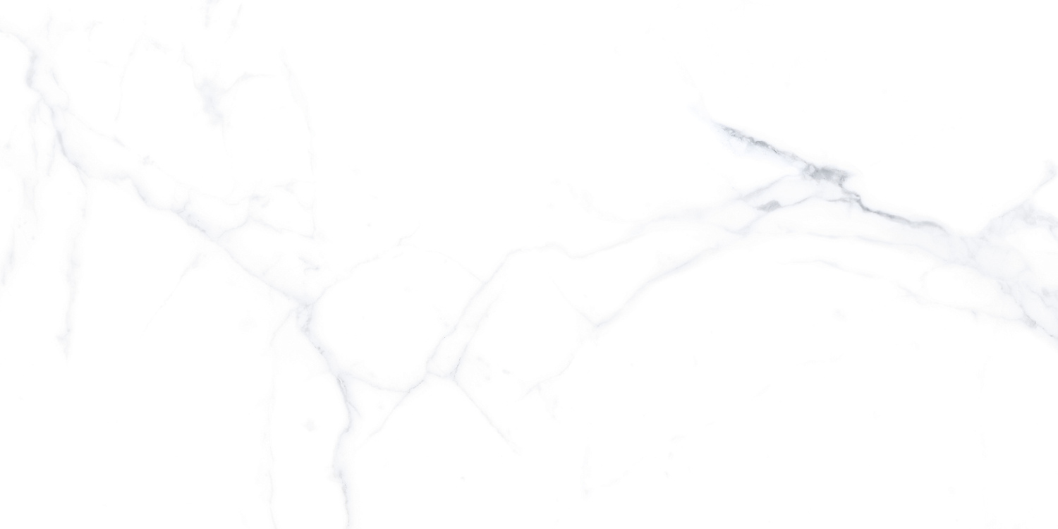   Статуарио Белый МатR10A 60x120 (1,44)