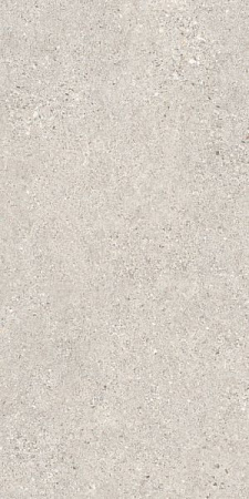 MANHATTAN SILVER AS/60X120X0,9/C/R 