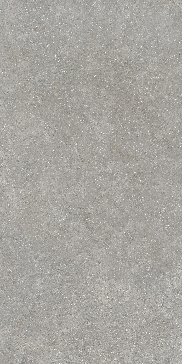 Sandstone Серый Матовый R10a 60x120