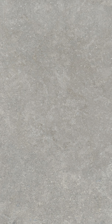 Sandstone Серый Матовый R10a 60x120 