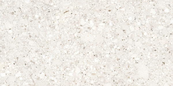 Бьянкоромано Слоновая Кость Матовый R10a 60x120 