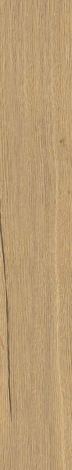   SGR29 Aurevia Gold 9,2x60 (0,6)