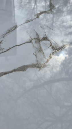  Athens Polished Gold Carving 60x120 