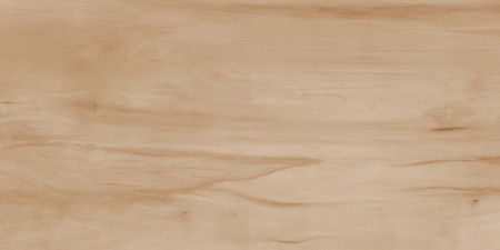  Paint Wood Bone Matt 60x120 (1,44) 