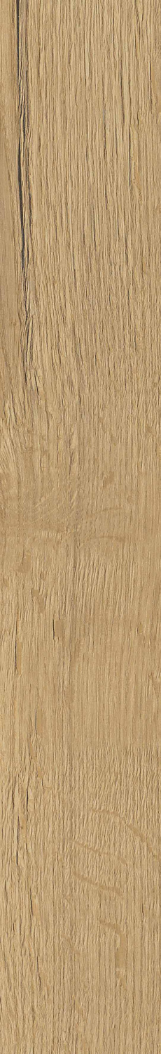   SGR29 Aurevia Gold 9,2x60 (0,6)