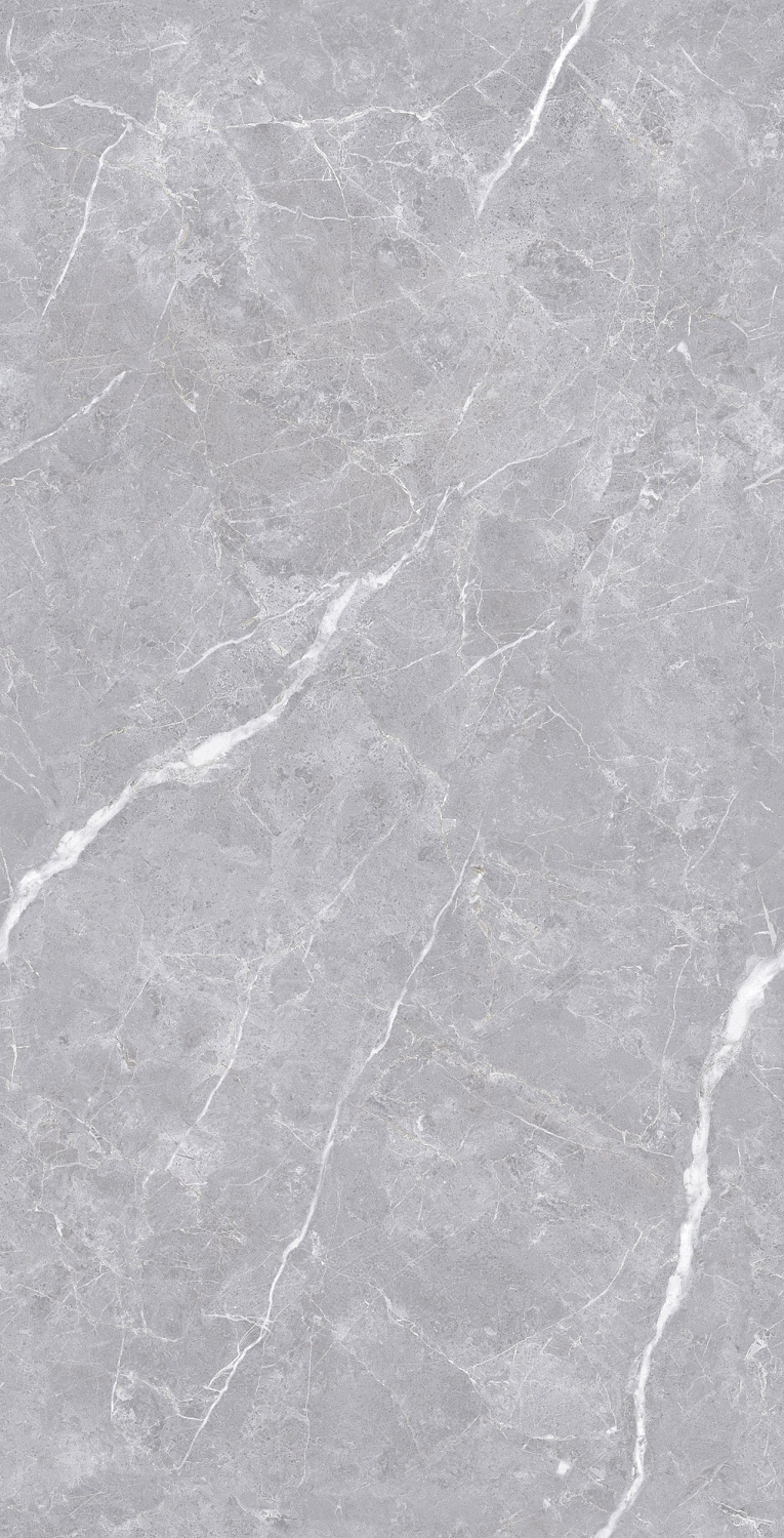  Luanda Polished Silver Carving 60x120 (1,44)