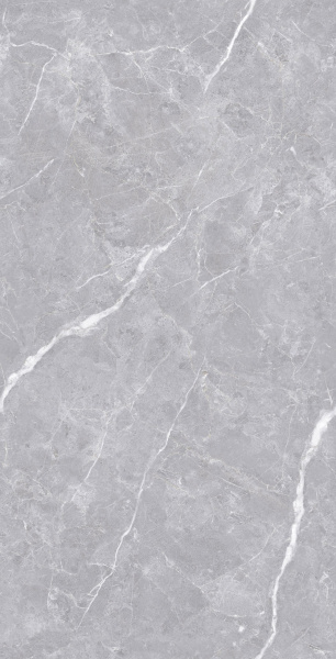  Luanda Polished Silver Carving 60x120 (1,44) 