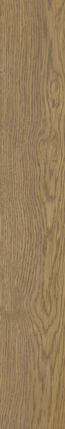   SGR51 Velaris Honey 9,2x60 (0,6)