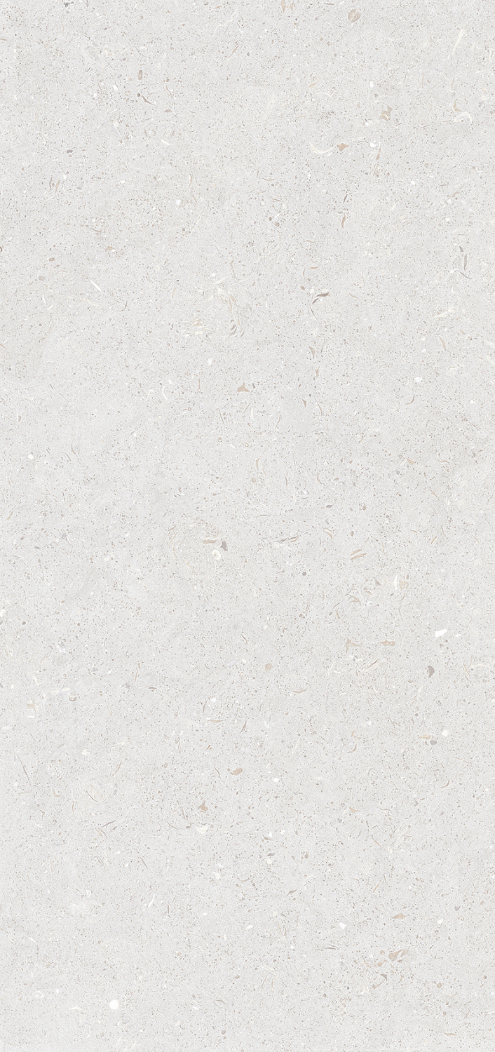 Керамогранит Stx Fossil Bianco 3pc 59,8х119,8