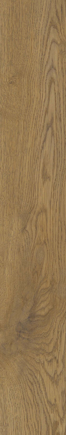   SGR51 Velaris Honey 9,2x60 (0,6)