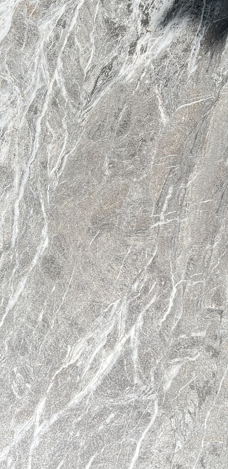  Гем Форест Стоун двойная цифровая печать 60х120 (1,44)