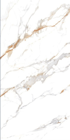  Дели полированный золотой карвинг 60x120 (1,44) 