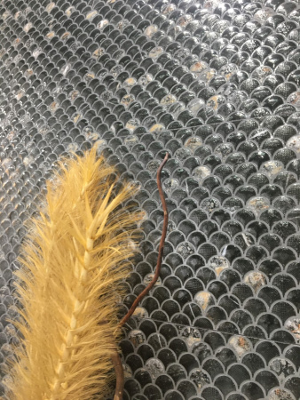  Mos Lucia Negro R 30x90 