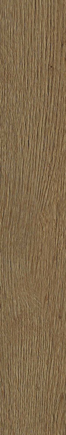   SGR30 Aurevia Honey 9,2x60 (0,6)