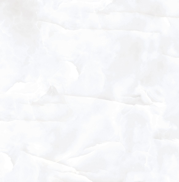  Coin White Glossy 60x60 