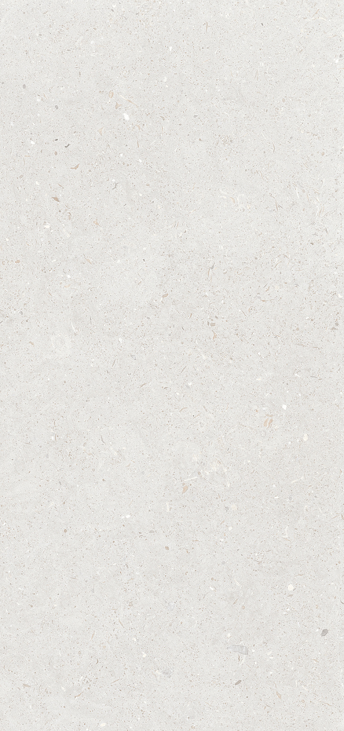 Керамогранит Stx Fossil Silver 3pc 59,8х119,8