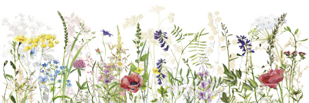 Вставка Flora bloom 20х60 