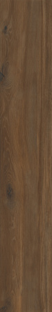   Walnut Венге МатR10A 20x120 (1,44) 