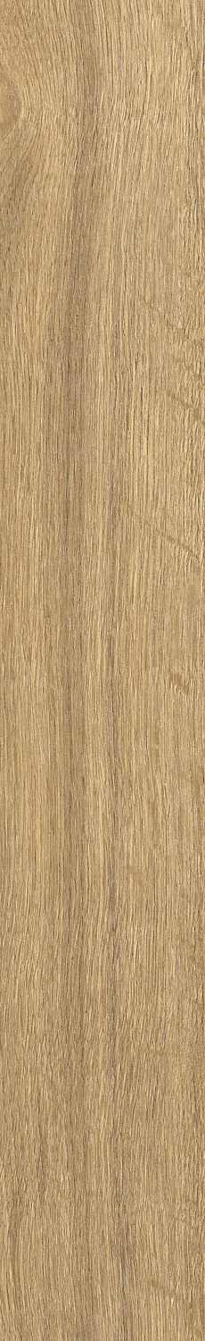   SGR29 Aurevia Gold 9,2x60 (0,6)