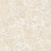  Imperatore Beige Polished 60x60