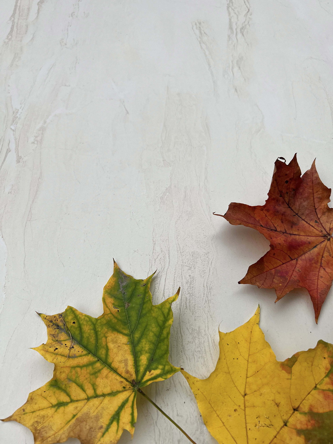 Керамогранит Realistik RS Brizzo Ivory Carving 60x120