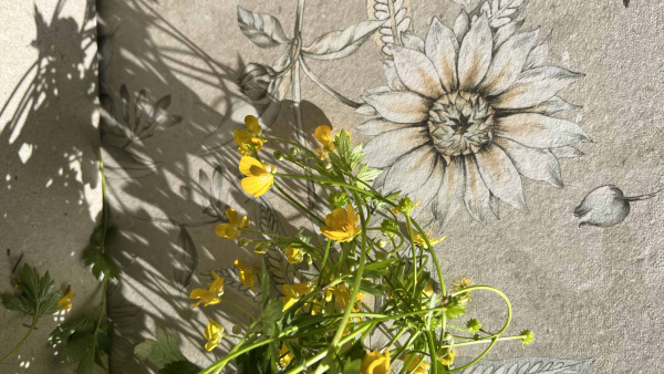  XS Kenzo Spring Sand 60x120 