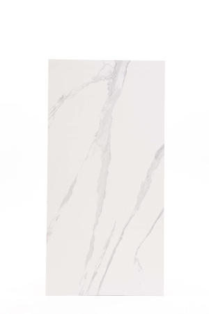  Albeta Statuario 60x120 