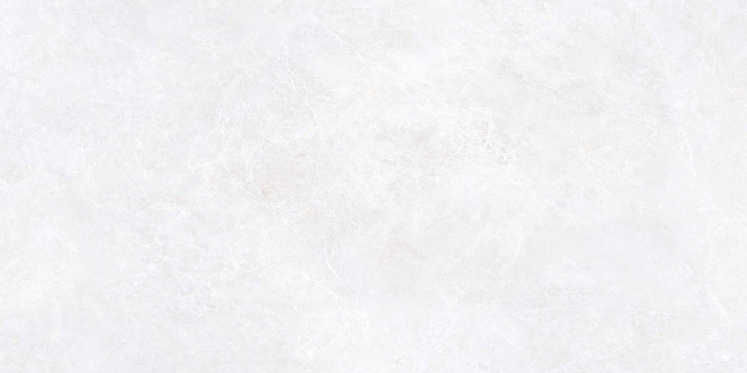   Эмперадор Белый МатR10A 60x120 (1,44)