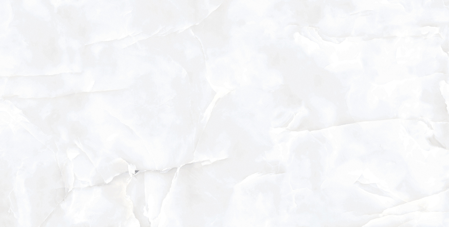  Coin White Glossy 60x120