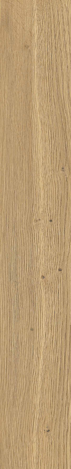   SGR29 Aurevia Gold 9,2x60 (0,6)