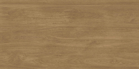  Марсель коричневый двойная цифровая печать 60x120 (1,44) 