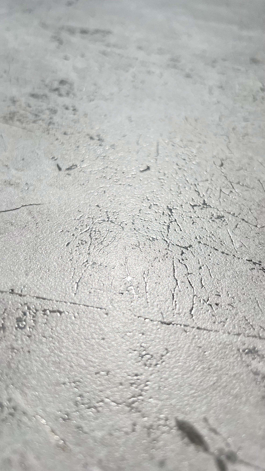  Гризли светло-серый матовый карвинг непрерывный рисунок 80x160 (2,56)