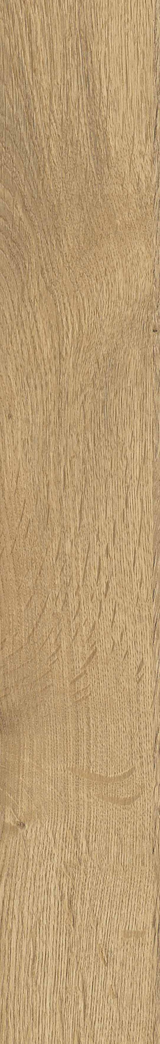   SGR29 Aurevia Gold 9,2x60 (0,6)