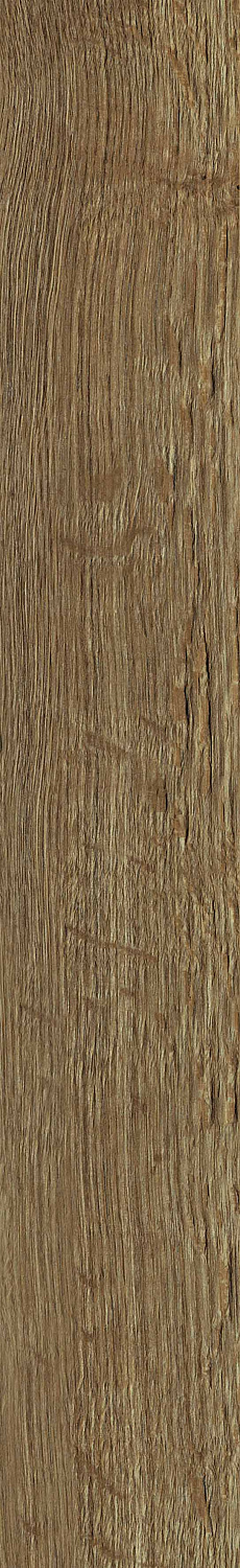   SGR30 Aurevia Honey 9,2x60 (0,6)