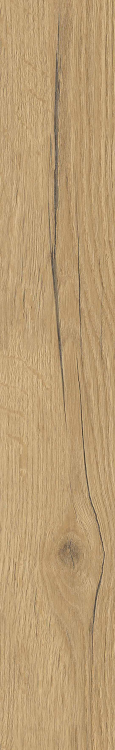   SGR29 Aurevia Gold 9,2x60 (0,6)