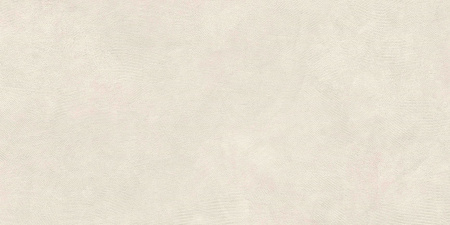   SandBark Слоновая Кость МатR10B 60x120 (1,44) 