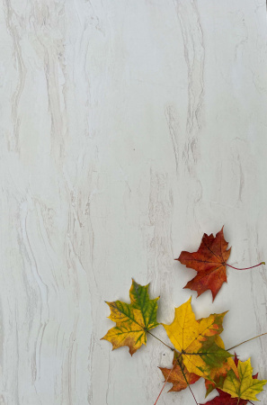 Керамогранит Realistik RS Brizzo Ivory Carving 60x120 