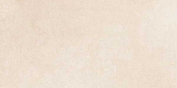 ASTER CLAY FULLBODY CARVING 60x120x0,9 (1,44м/2шт) 