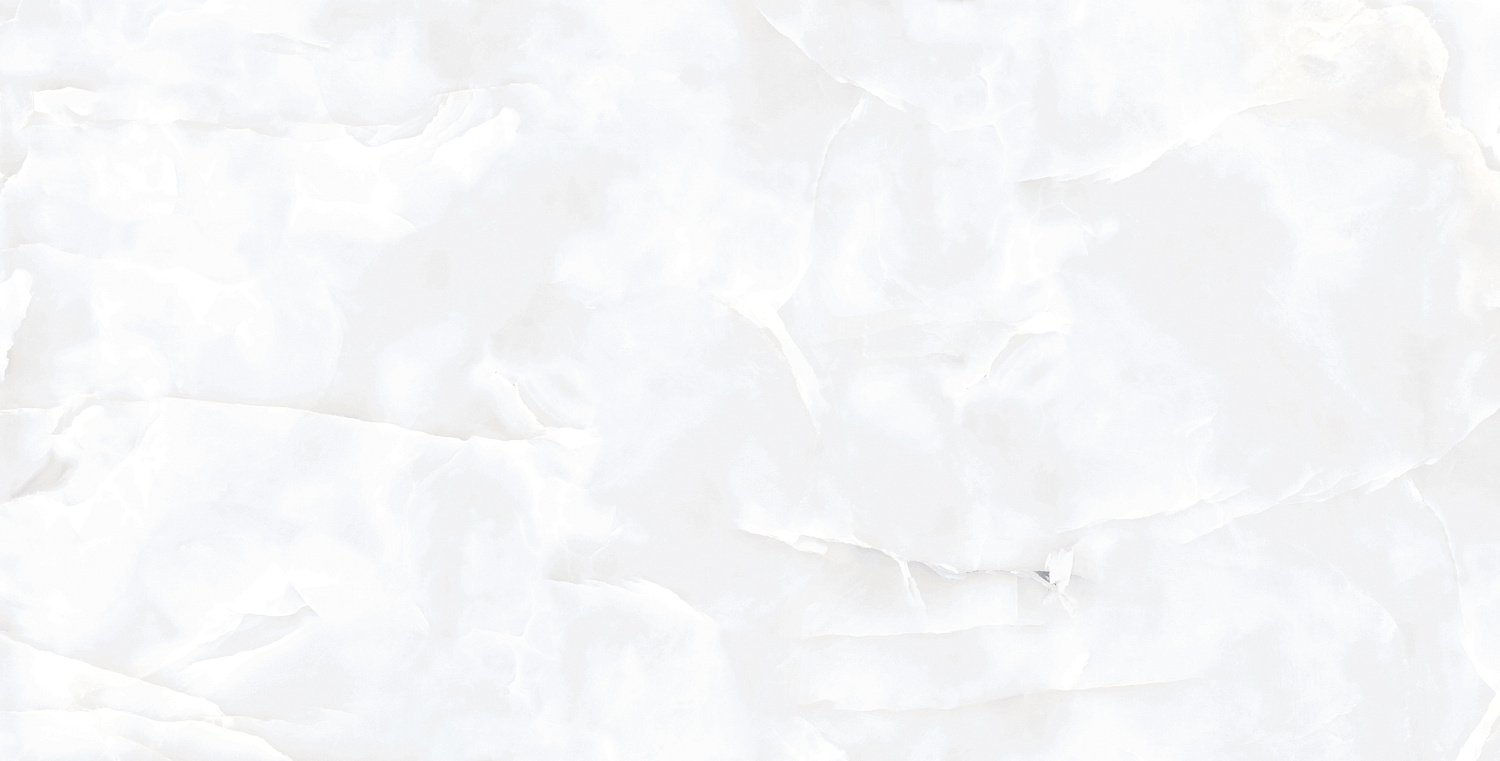  Coin White Glossy 60x120