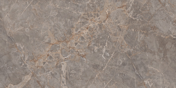  Miltonia Grey 60x120 